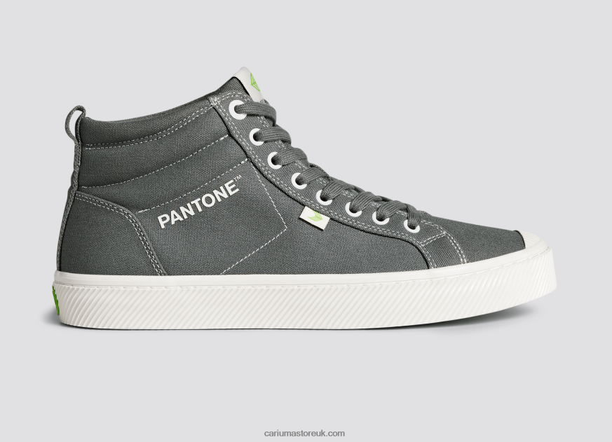 Pantone Gargoyle Grey Canvas Men 0ZLD0465 Cariuma
