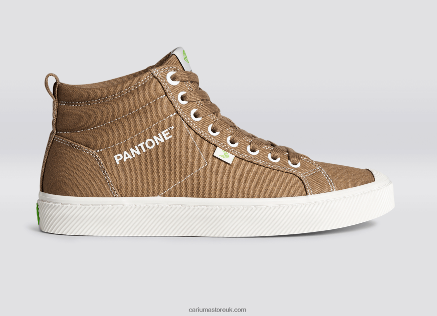 Pantone Lion Canvas Men 0ZLD0464 Cariuma