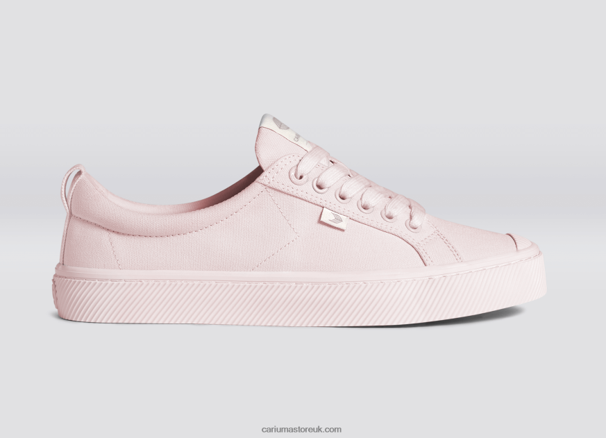 All Pale Lilac Canvas Men 0ZLD0430 Cariuma