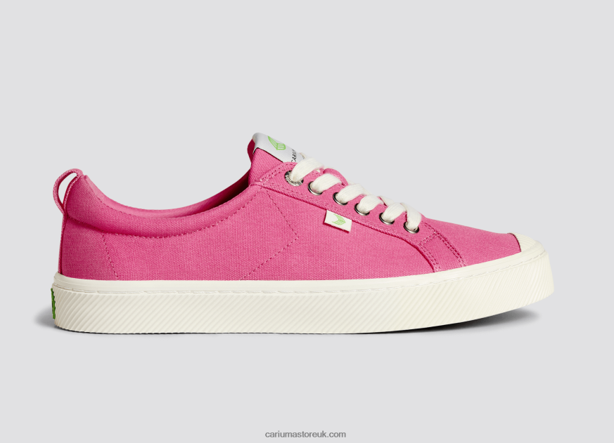Bright Pink Canvas Men 0ZLD0424 Cariuma