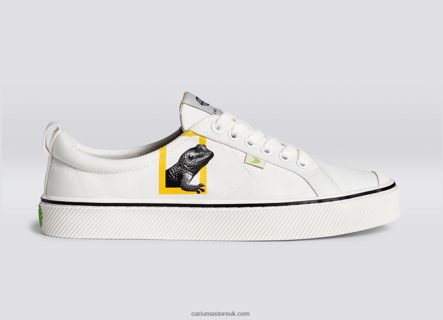 National Geographic Gecko Off-White Canvas Men 0ZLD0485 Cariuma