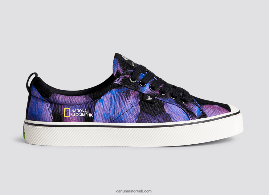 National Geographic Peace Lily Purple Canvas Men 0ZLD0429 Cariuma