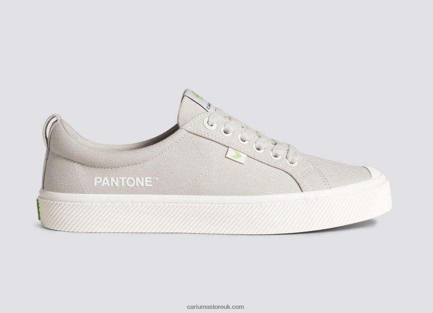 Pantone French Oak Canvas Men 0ZLD0417 Cariuma