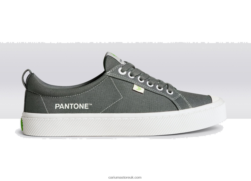 Pantone Gargoyle Grey Canvas Men 0ZLD0440 Cariuma