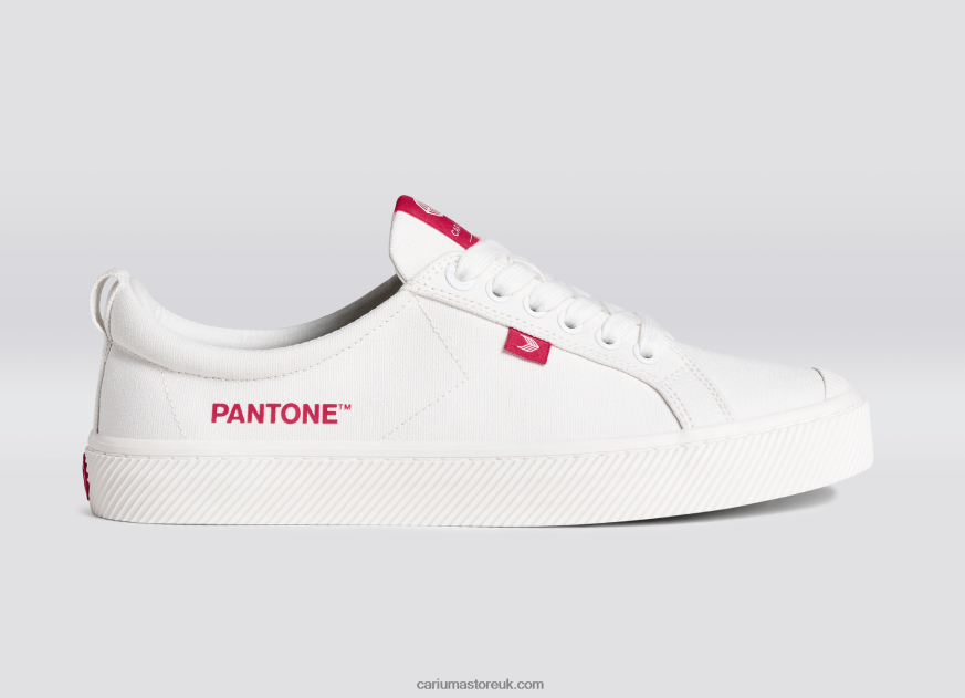Pantone Off-White/Viva Magenta Canvas Men 0ZLD0439 Cariuma