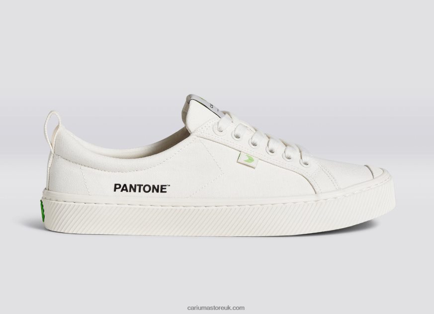 Pantone Snow White Canvas Men 0ZLD0416 Cariuma