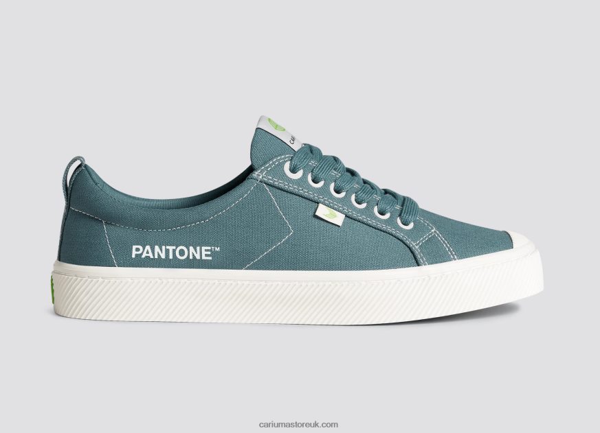 Pantone Tapestry Canvas Men 0ZLD0419 Cariuma