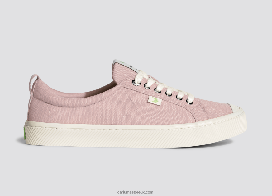 Rose Canvas Men 0ZLD045 Cariuma