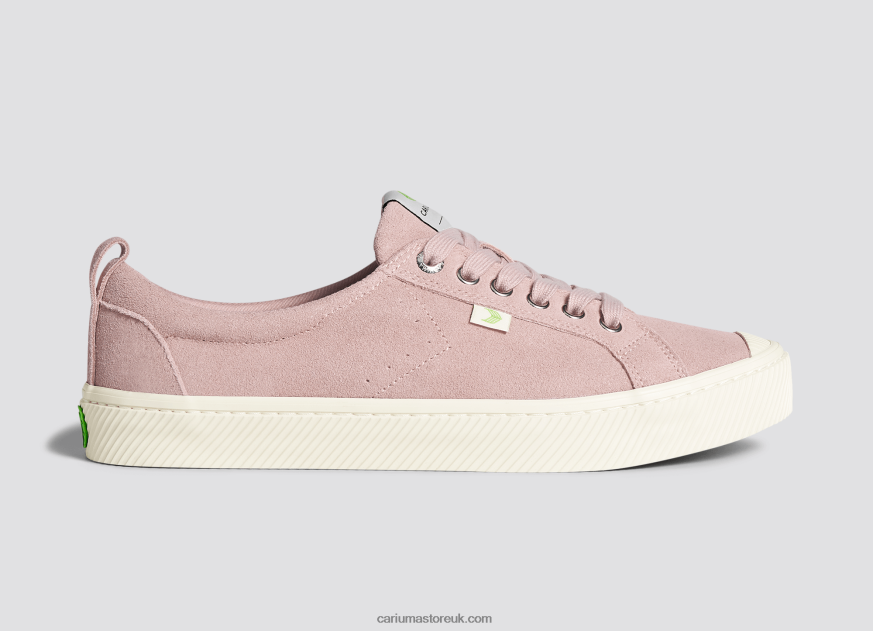 Rose Suede Men 0ZLD0444 Cariuma