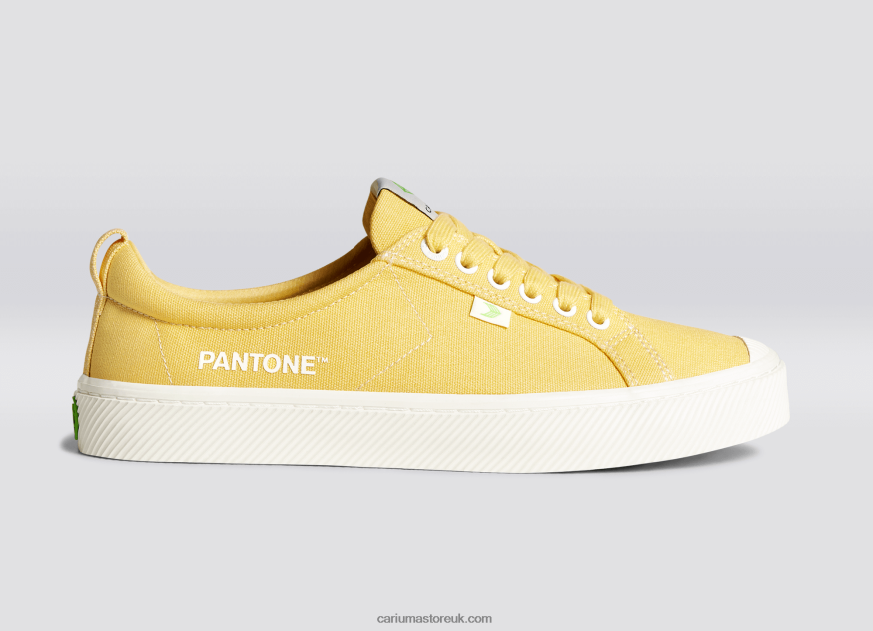 Pantone Cornsilk Canvas Women 0ZLD04268 Cariuma