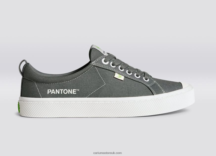 Pantone Gargoyle Grey Canvas Women 0ZLD04253 Cariuma