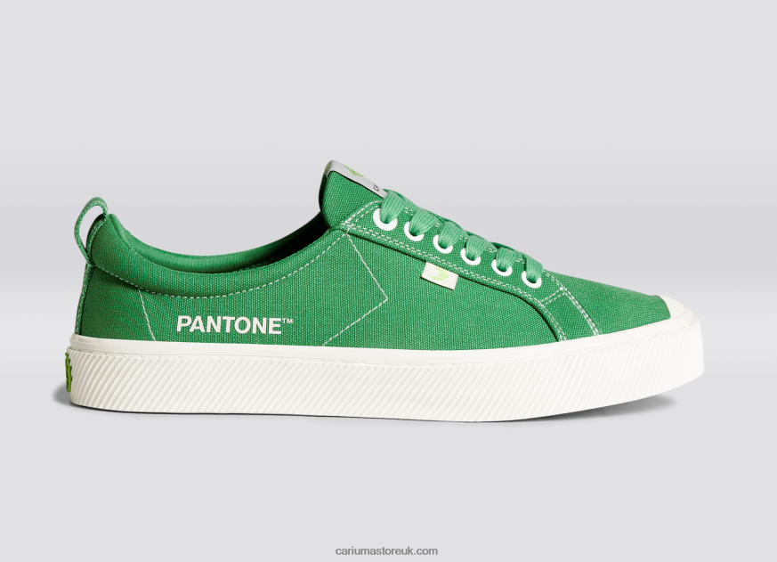 Pantone Greenbriar Canvas Women 0ZLD04231 Cariuma