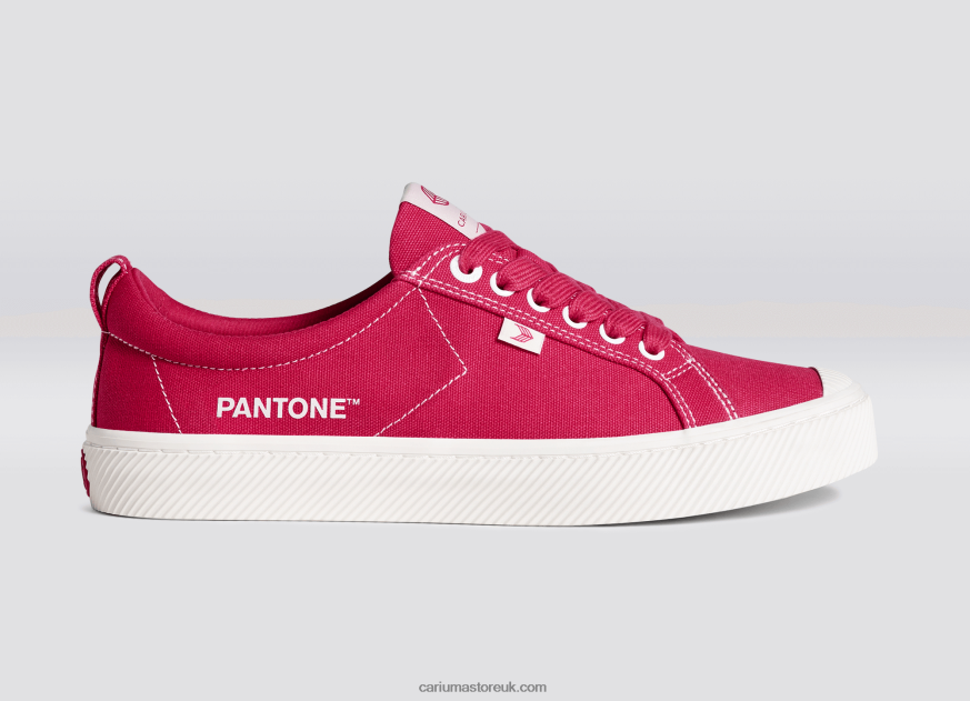 Pantone Viva Magenta/Off-White Canvas Women 0ZLD04251 Cariuma