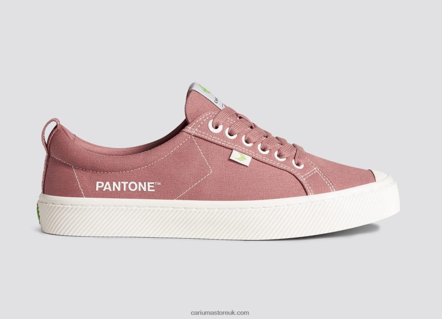 Pantone Withered Rose Canvas Women 0ZLD04229 Cariuma